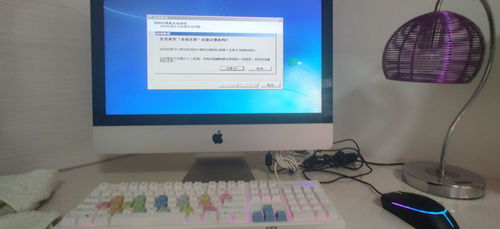 蘋果電腦還原設置后鼠標消失的應急解決方案